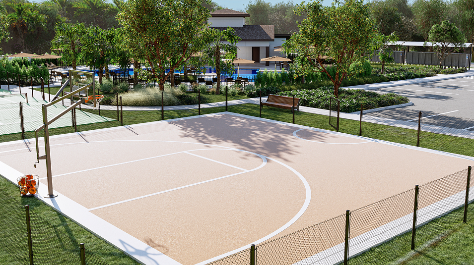 Basketball court